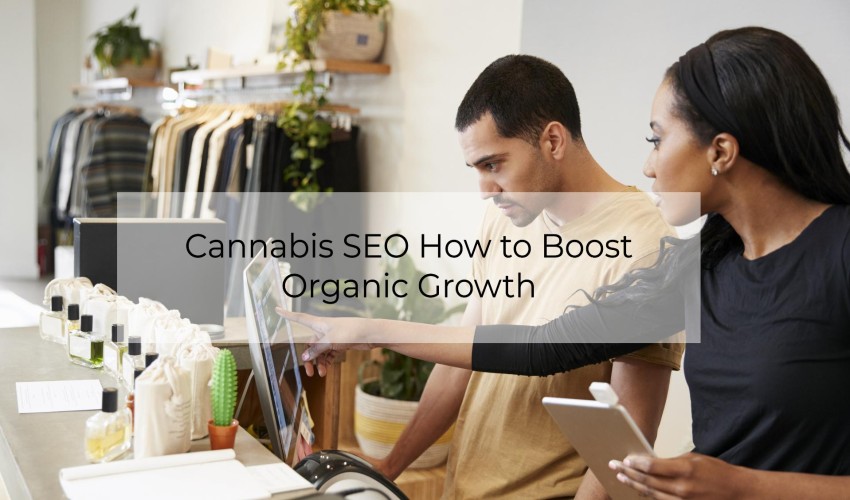 Cannabis SEO How to Boost Organic Growth