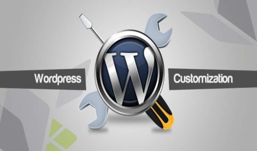 WordPress Customization Services