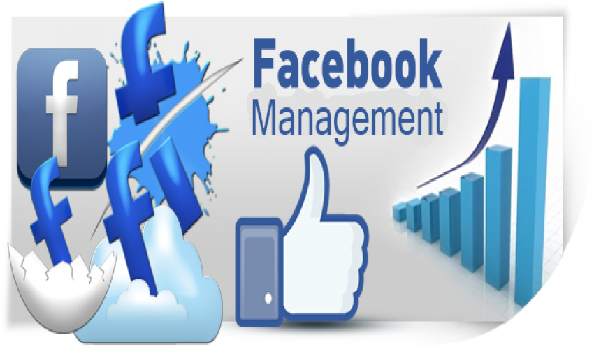 Facebook Ad Management Services